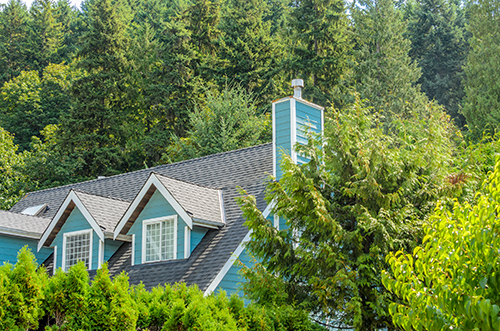 Blue home peeking out from a forest of trees cared for with tree service in Smithville